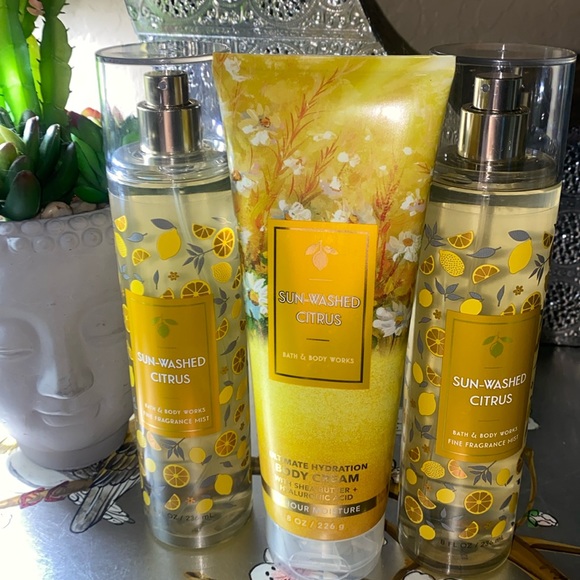Bath & Body Works Other - Bath and Bodyworks Sun Washed Citrus 🍊 🍋 Gift Set Combo